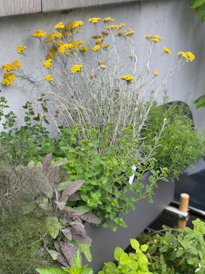 Feldberg Atelier - Courtyard Maisonette Basel Luaran gambar